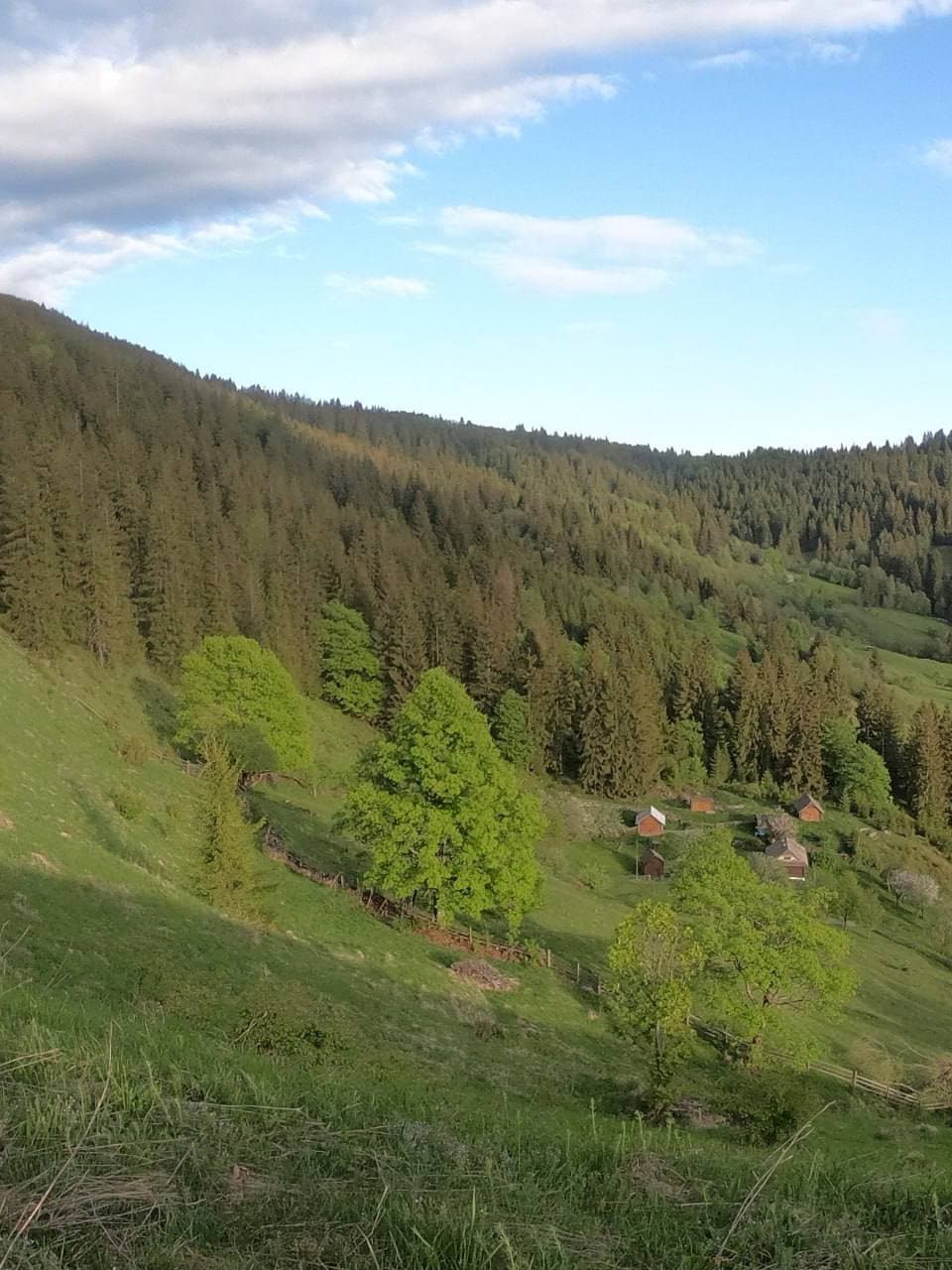 Земля 2 га с. Верхній Ясенів